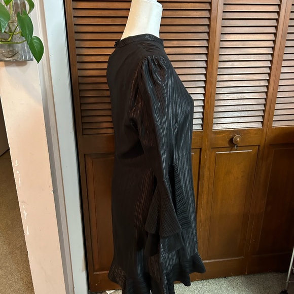 Catherine Malandrino Masami Metallic Ruffle Shift Dress with Bell Sleeves - Picture 3 of 13